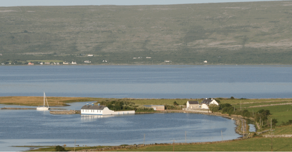 Heron Cottage, Finavarra, New Quay, County Clare